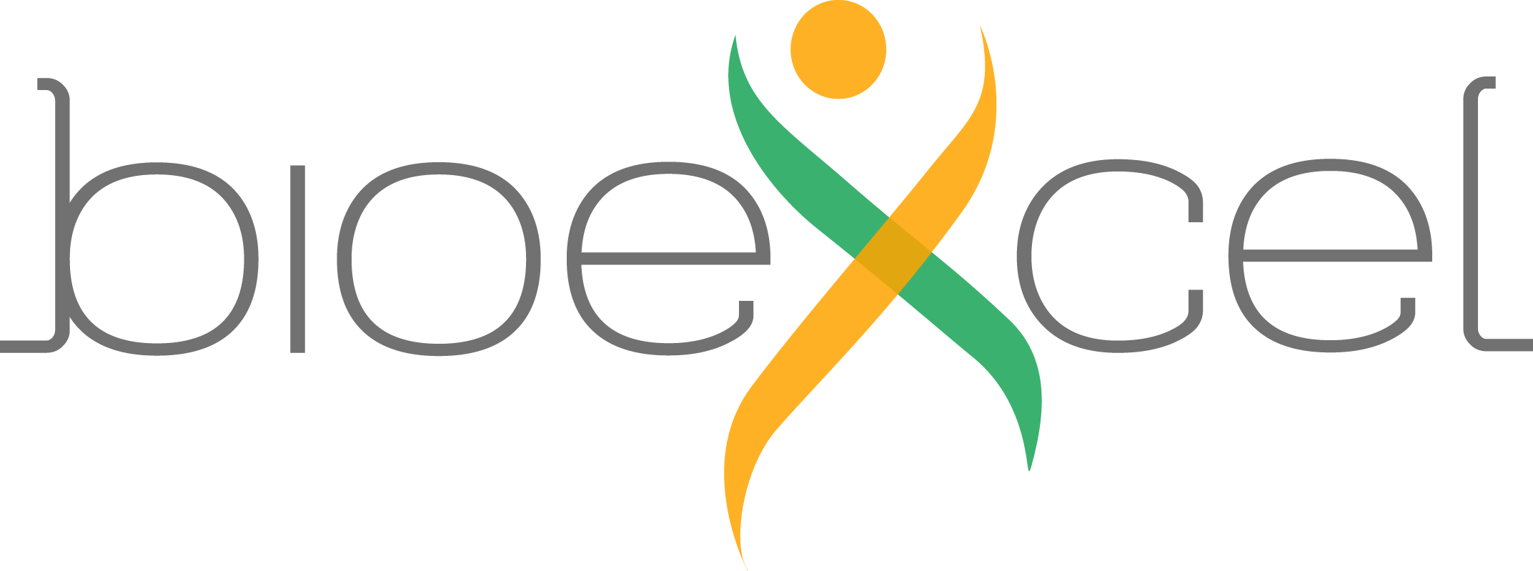 BioExcel